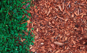 Tree Bark Mulch