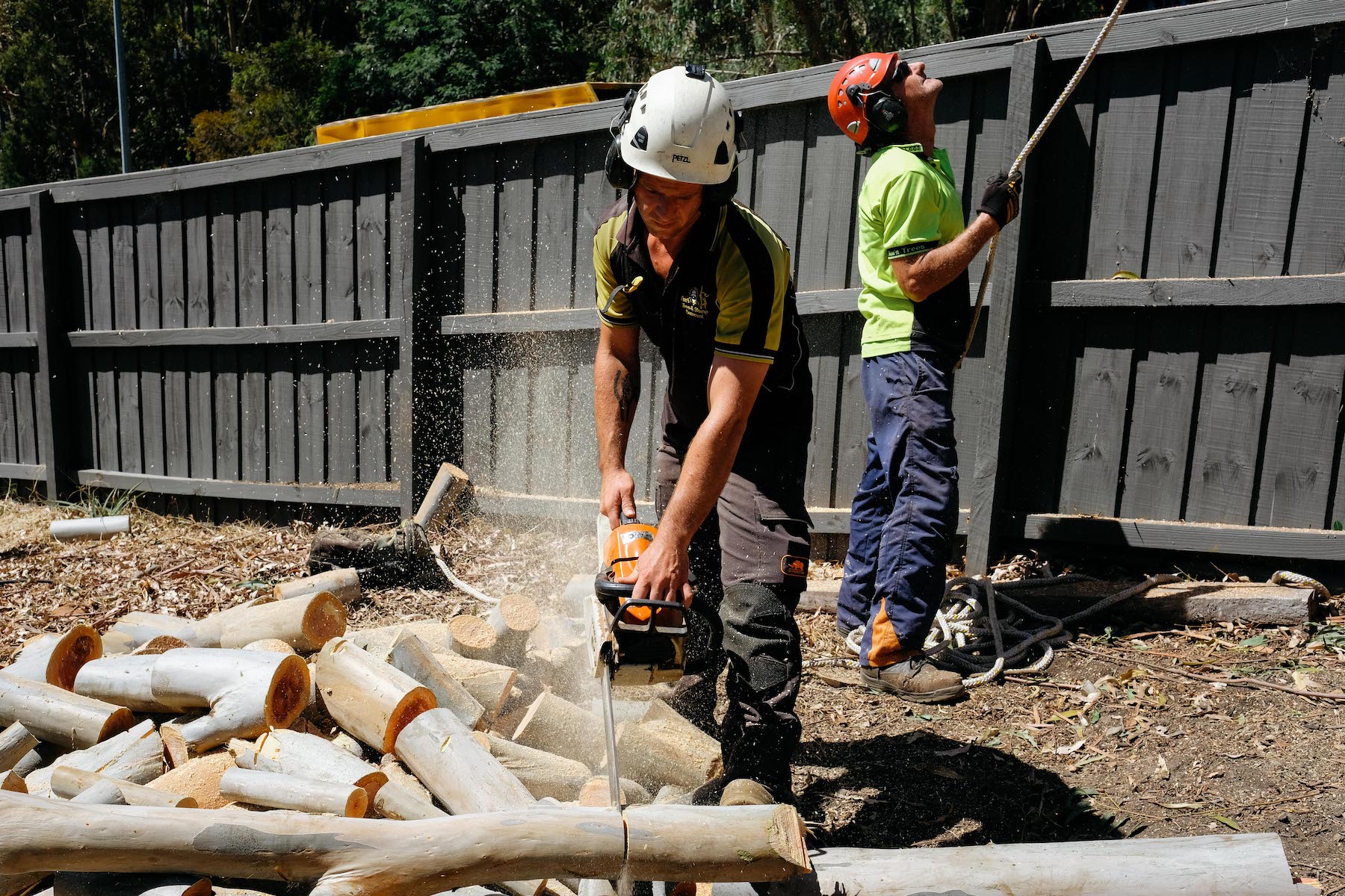 Tree Removal Service Christchurch